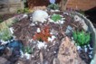Garden Design / Maintenance  Paisley  - After