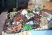 Garden Design / Maintenance  Paisley  - After