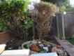 Garden Design / Maintenance  Paisley  - After
