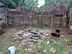 Garden Design / Maintenance  Paisley  - Before