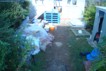 Garden Design / Maintenance  Paisley  - Before