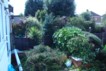 Garden Design / Maintenance  Paisley  - Before